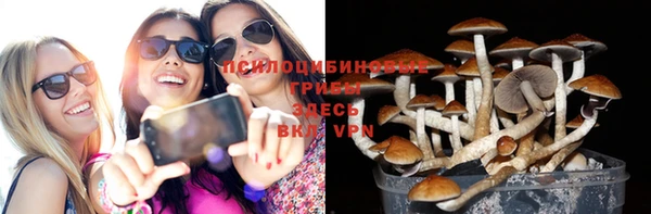 прущий лед Вяземский