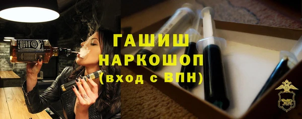 индика Вязники