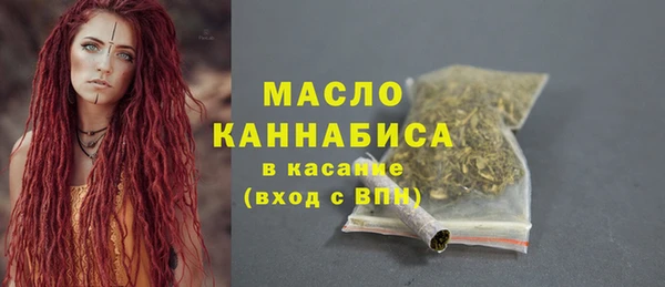 индика Вязники