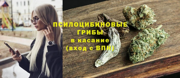 крисы Вязьма
