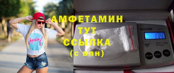 индика Вязники