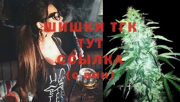 крисы Вязьма