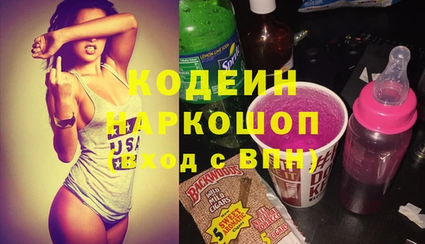 индика Вязники