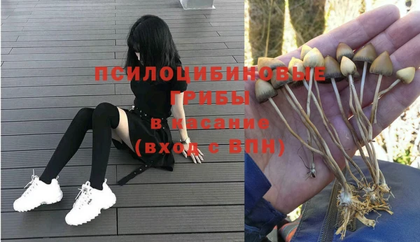 крисы Вязьма