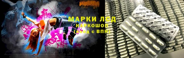крисы Вязьма