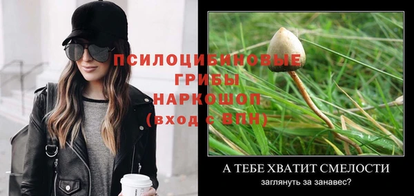 индика Вязники