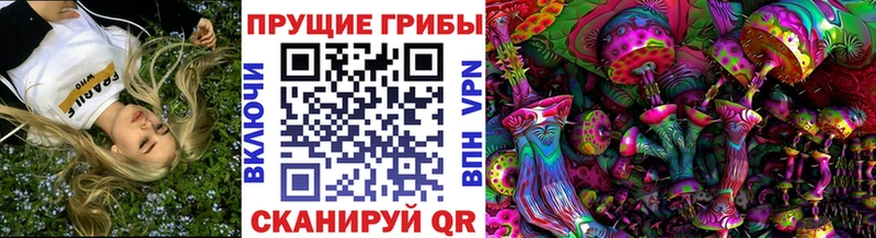 Купить где  Крымск  Галлюциногенные грибы прущие грибы 